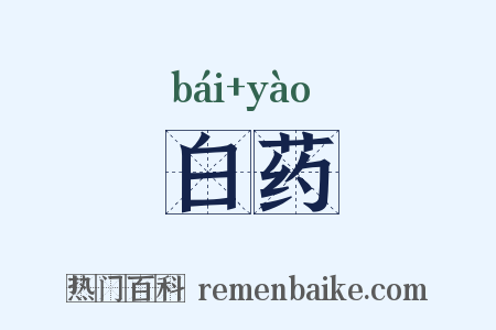 白药是什么意思的图片